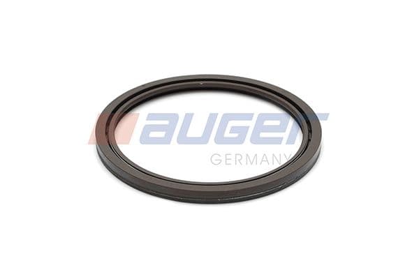 Shaft Seal, wheel hub