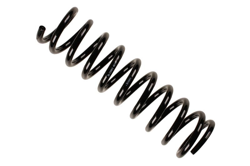 Coil spring