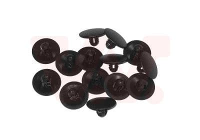 Motorkap / Onderdelen / Isolatie