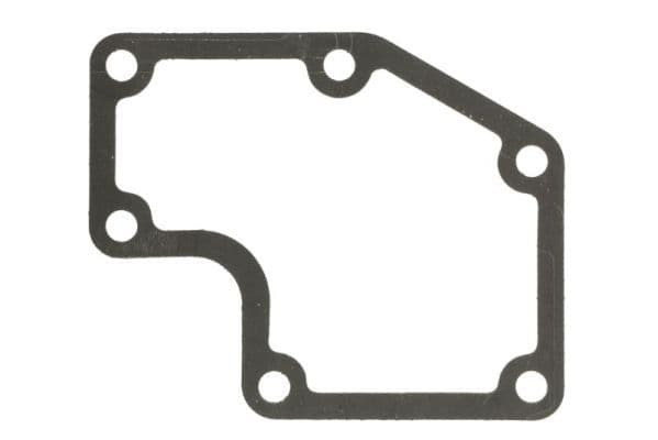 Water pump gasket