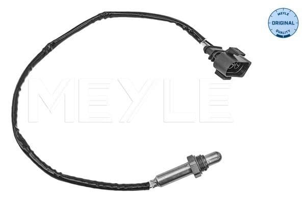 Oxygen Sensor
