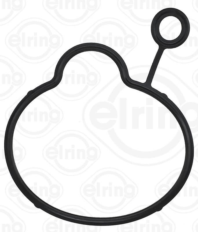 Gasket, vacuum pump