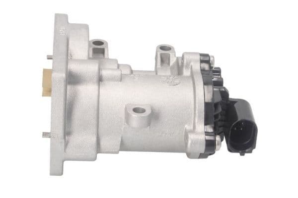 EGR-klep past: FORD C-MAX, FOCUS C-MAX, FOCUS II, GALAXY II, MONDEO IV, S-MAX, TOURNEO CONNECT, TRANSIT CONNECT 1.8D 06.02-06.15