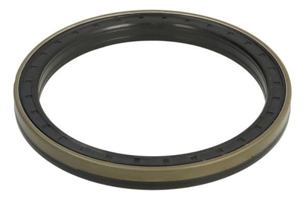 Shaft Seal, wheel hub