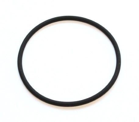 Thermostat gasket