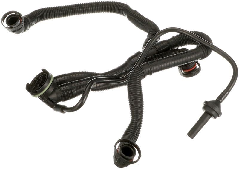 Hose, crankcase ventilation