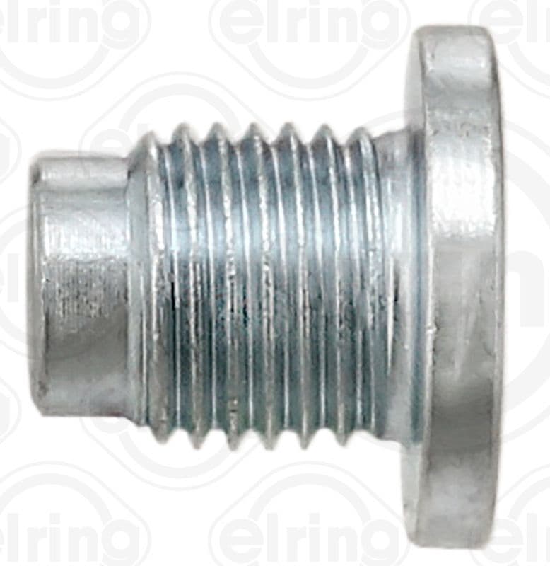 Screw Plug, oil sump