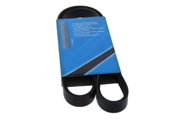 Mounting, leaf spring