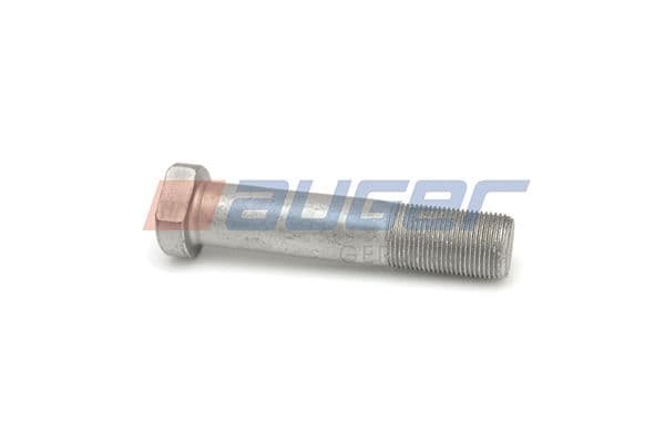 Wheel bolt
