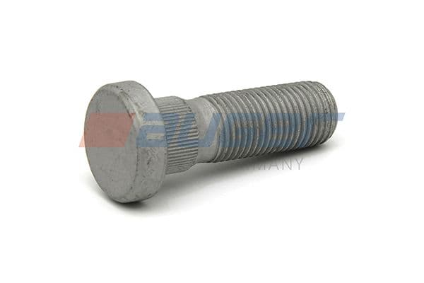 Wheel bolt