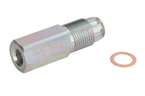 Rail drukbegrenzingsklep past: CITROEN JUMPER III  FIAT DUCATO  FORD TRANSIT  PEUGEOT BOXER 2.2D/2.4D 04.06-