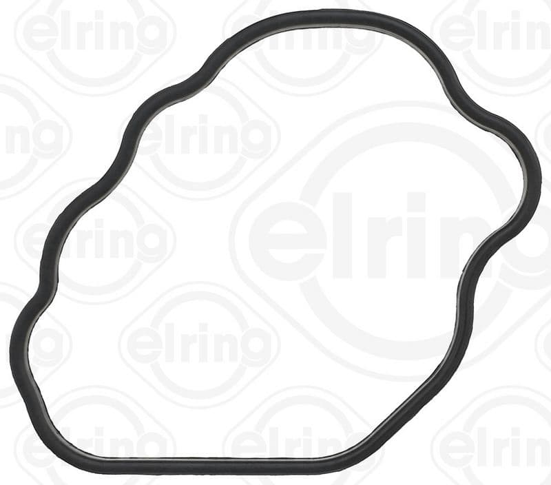 Gasket, thermostat housing