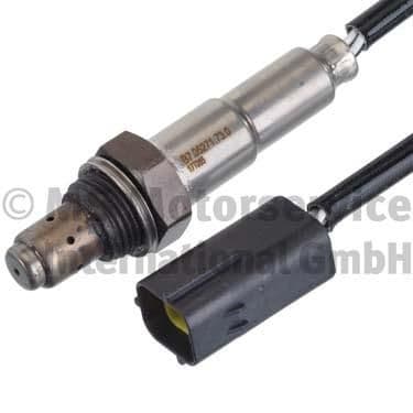 Oxygen Sensor