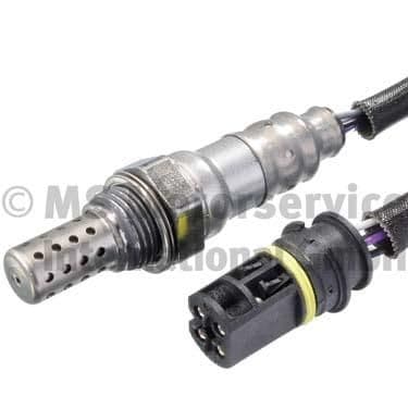 Oxygen Sensor