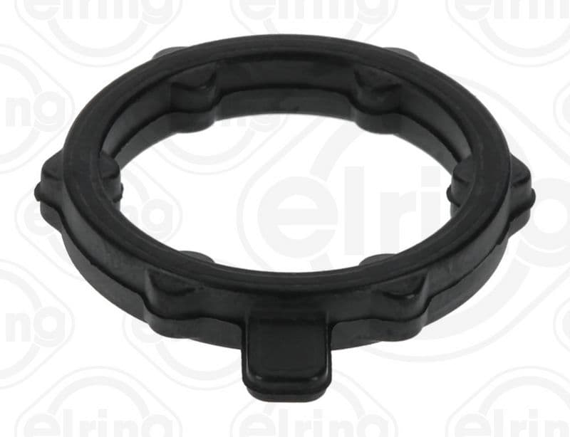 Seal Ring, coolant pipe