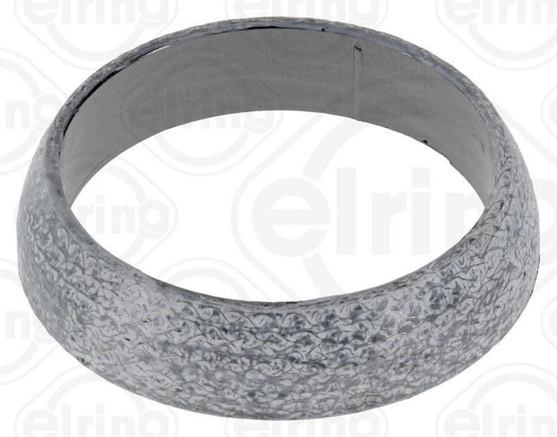 Seal Ring, exhaust pipe