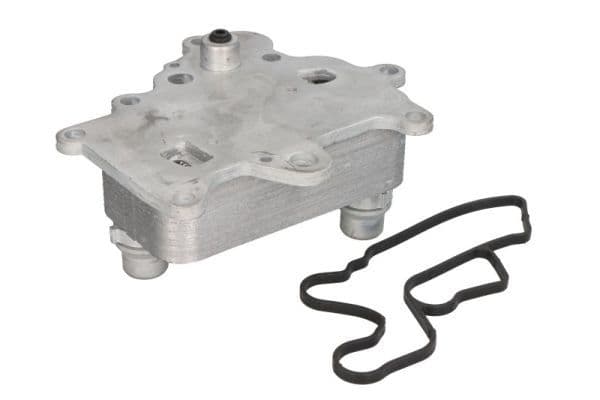 Olie radiator past: ALFA ROMEO GIULIETTA  FIAT 500L, 500X, BRAVO, BRAVO II, DOBLO, DOBLO CARGO, TIPO  JEEP RENEGADE  OPEL COMBO, COMBO TOUR 1.6D 09.07-