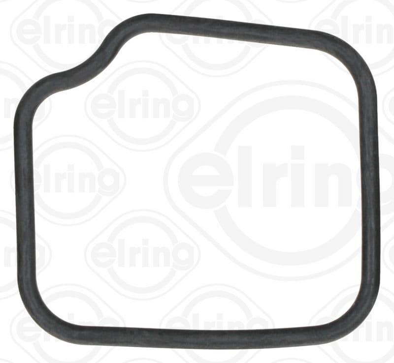 Gasket, thermostat housing