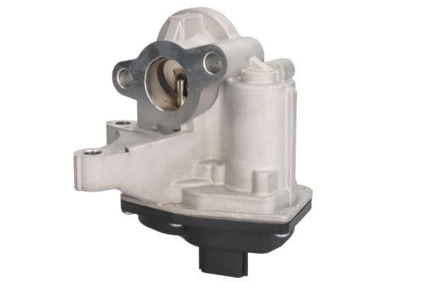 EGR-klep past: RENAULT ESPACE V, FLUENCE, GRAND SCENIC III, GRAND SCENIC IV, KADJAR, KOLEOS II, MEGANE, MEGANE III, MEGANE IV, SCENIC III, SCENIC IV, TALISMAN, TRAFIC III 1.6D 04.11-