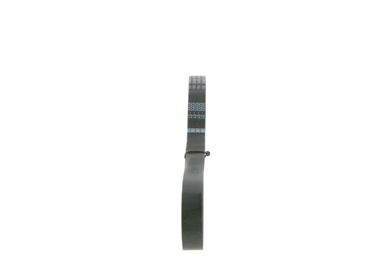 V-ribbed Belt