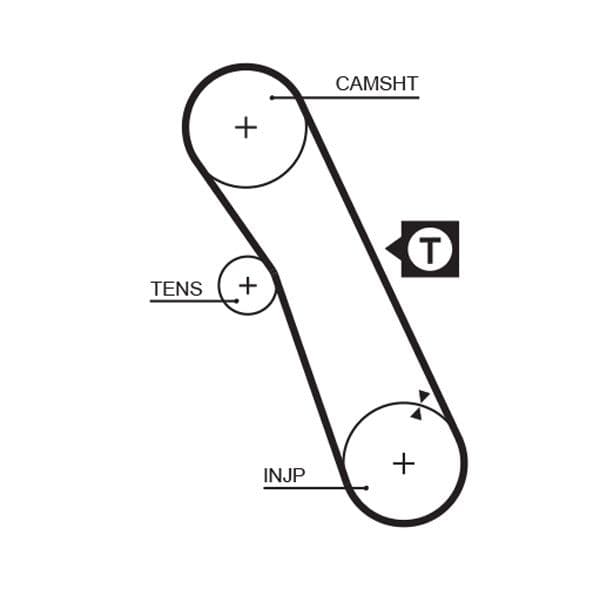 Timing belt