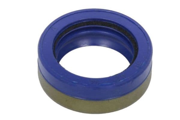 Shaft Seal, differential