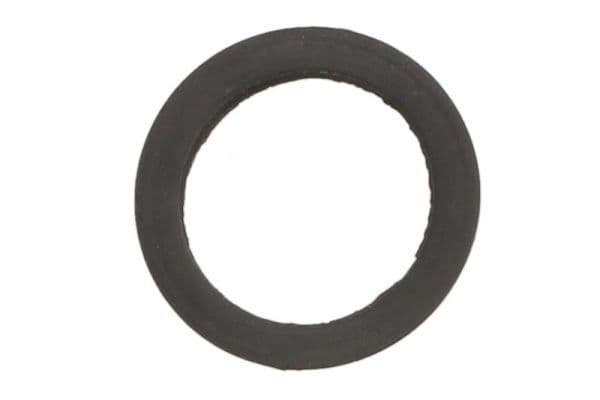 Gasket, thermostat housing