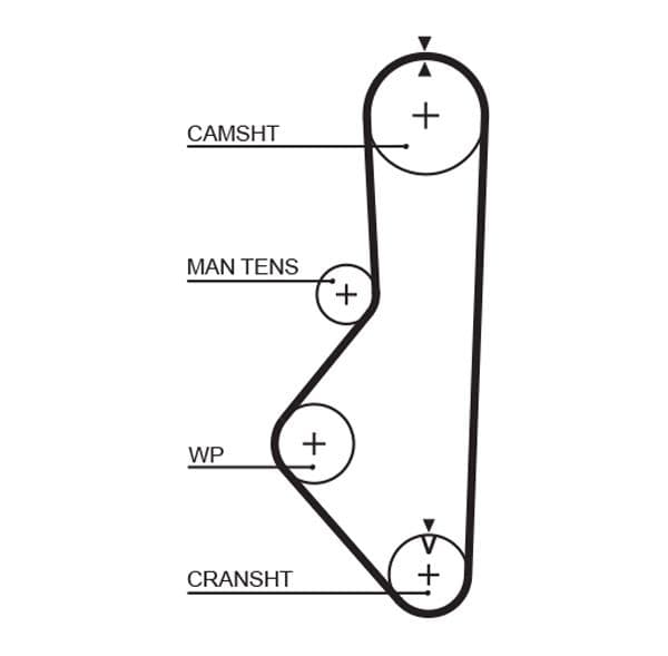 Timing belt