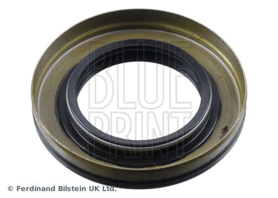 Shaft Seal, differential