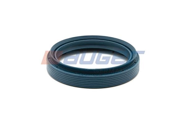 Seal Ring, steering knuckle