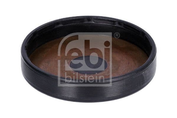 Plug, rocker arm shaft mounting bore