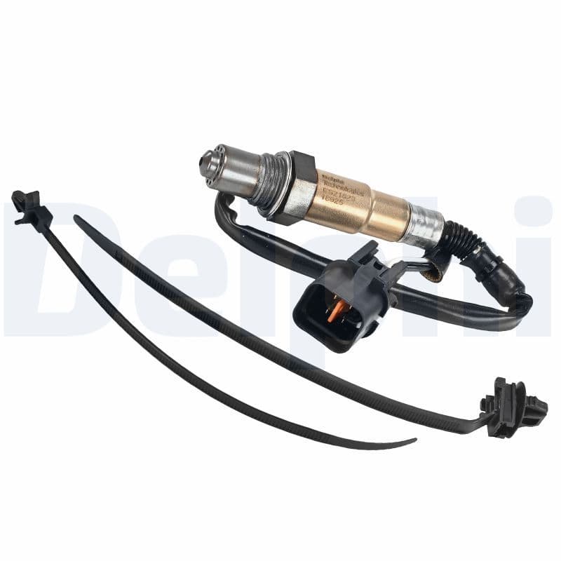 Oxygen Sensor