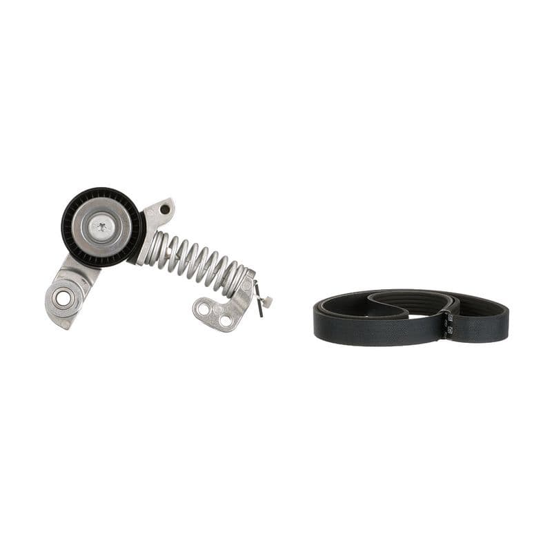 Multi-V-riem (6PK1183)