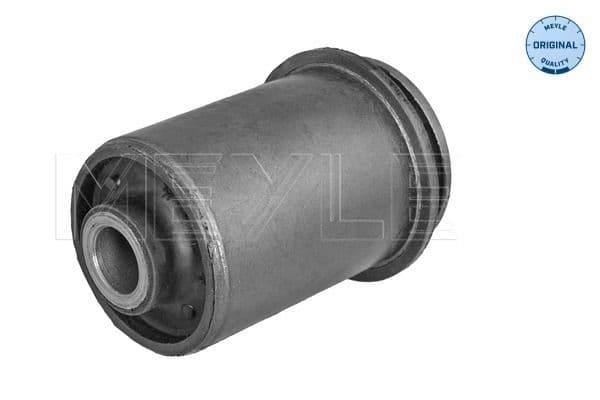 Mounting, control/trailing arm