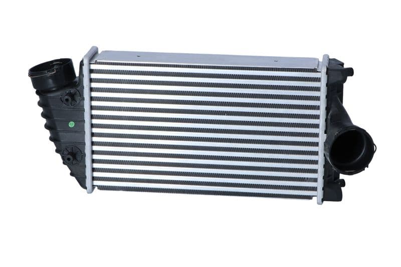 Motorsteun Achter Rechts, rubber-metaal past: RENAULT CLIO II, KANGOO, KANGOO EXPRESS 1.2/1.2LPG 07.98-08.16