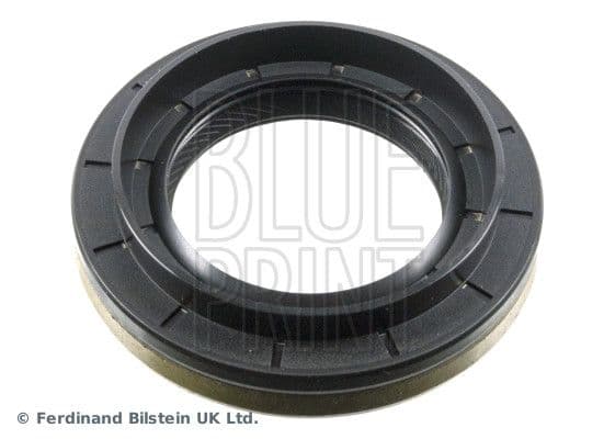 Shaft Seal, differential
