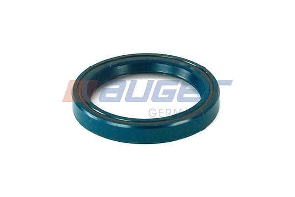 Shaft Seal, differential
