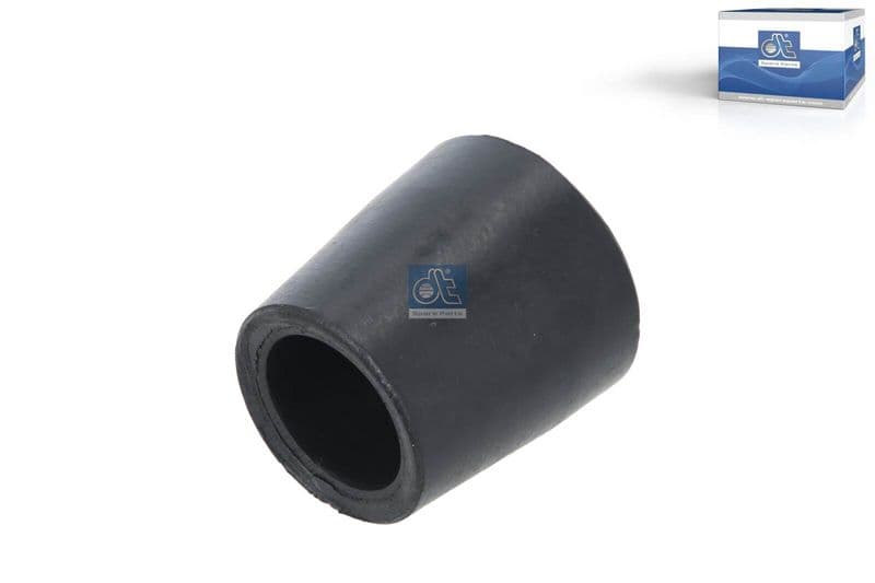 Bushing, leaf spring