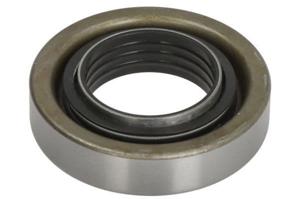 Repair Kit, differential