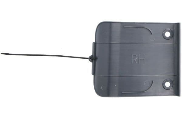 Cabine opstapje Rechts past: DAF XF 106 10.12-