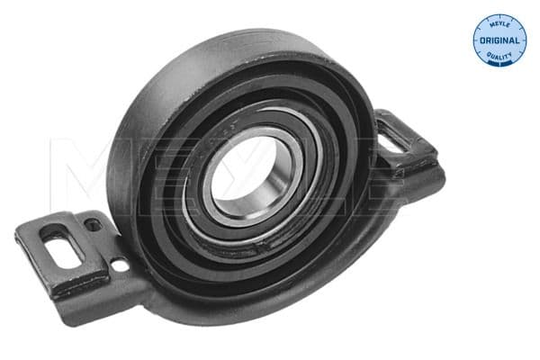 Schroefassteun (30mm, met een lager) past: MERCEDES C T-MODEL (S203), C (W203), CLK (C209), SL (R230) 2.7D/5.5/6.0 12.00-01.12