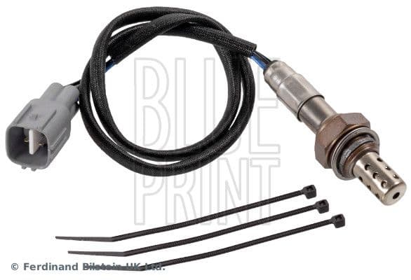 Oxygen Sensor