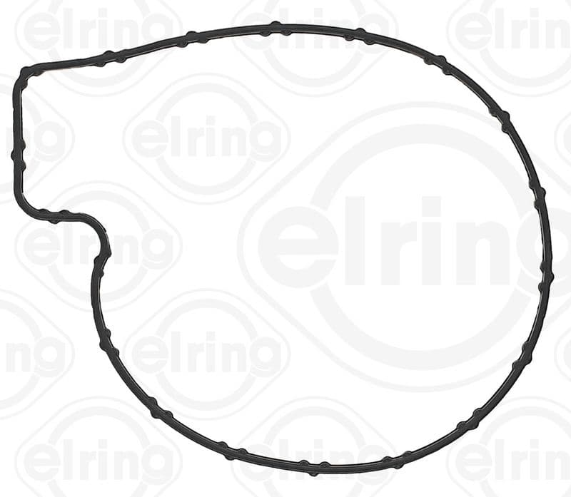 Water pump gasket
