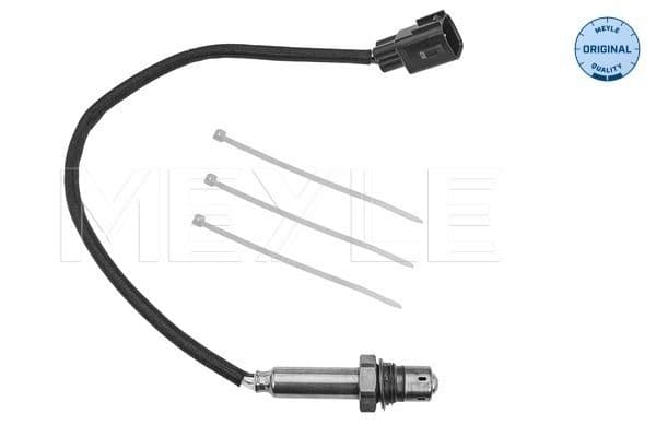 Oxygen Sensor
