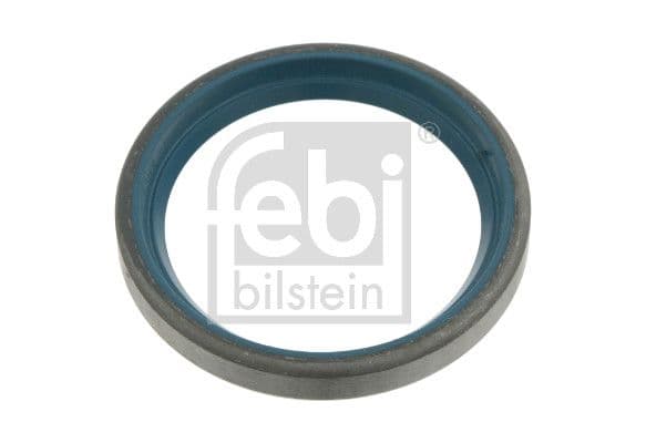 Seal Ring, steering knuckle