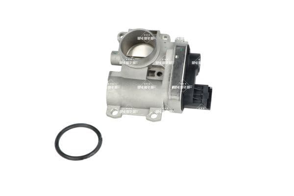 Strangler past: RENAULT CLIO II, KANGOO, KANGOO EXPRESS, THALIA I, TWINGO I 1.0/1.2 01.01-