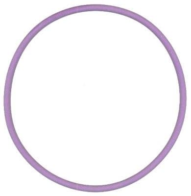 Seal Ring
