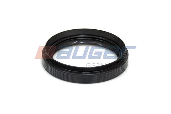 Seal Ring, steering knuckle (leaf spring hanger)