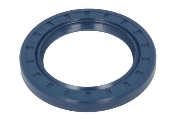 Shaft Seal, wheel hub