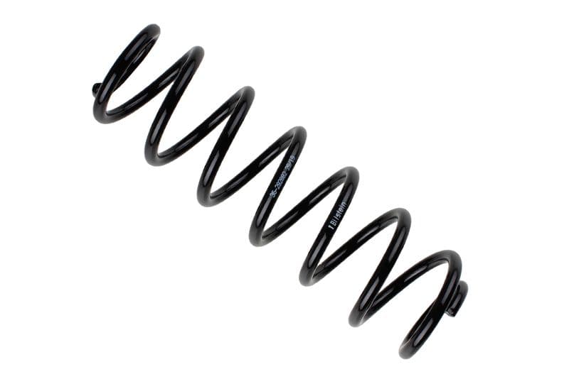 Coil spring